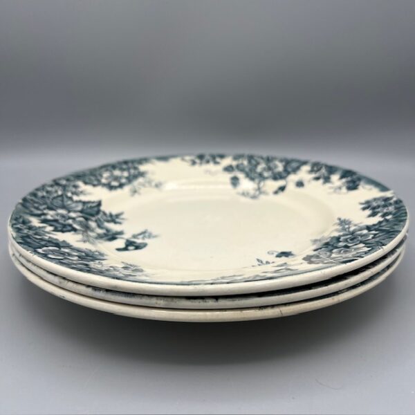 Assiette St Amand Modèle Marie Louise