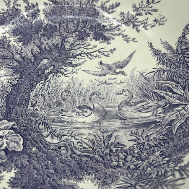Détail du décor de canards au fond de la cuvette